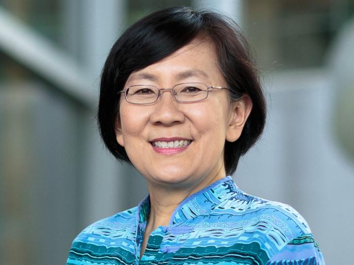 Paulin Tay Straughan, Singapore Management University