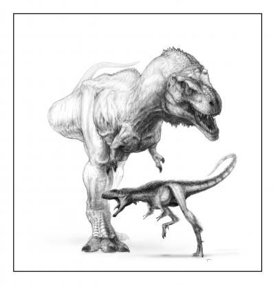 T. rex and Raptorex