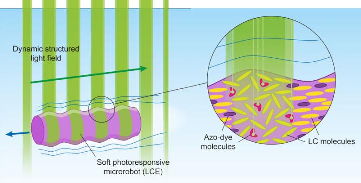 Light-Sensitive Microrobot