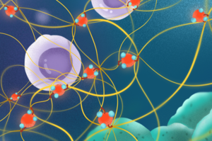 Inhaled FPM pulling strings of collagen to disturb the immune defence against lung cancer cells