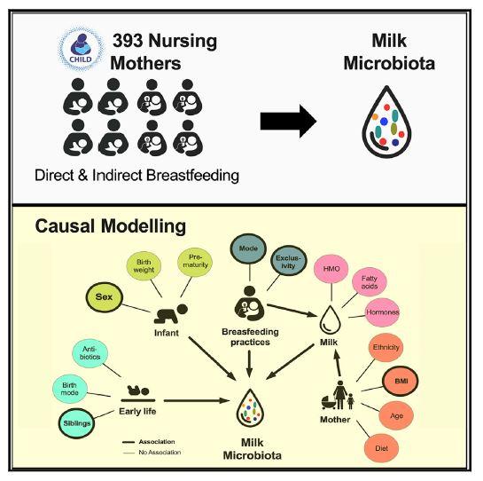 Milk Microbiome Graphical Abstract