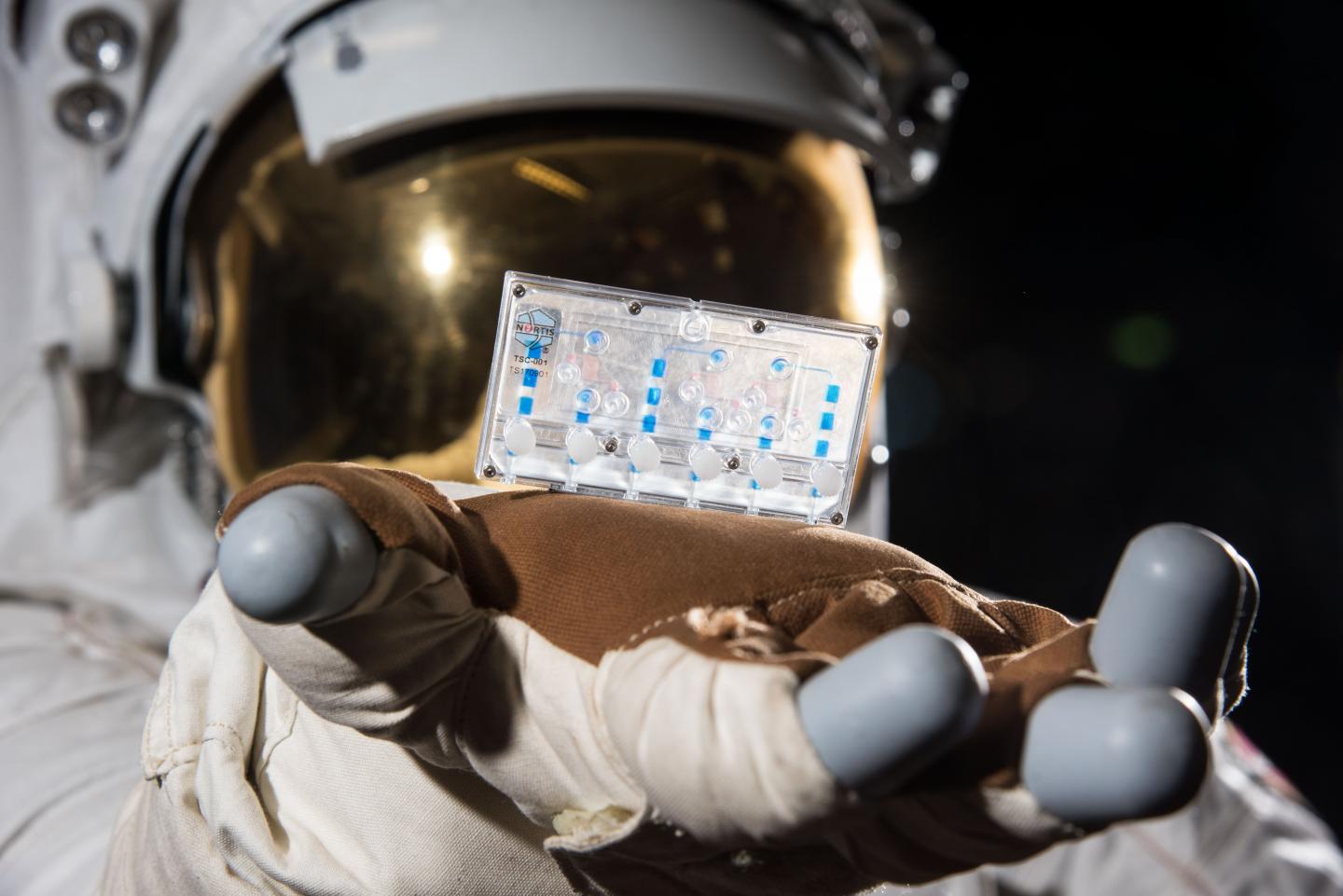 Space Suit Holding a Tissue Chip