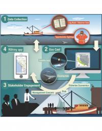 Schematic of the EcoCast Process