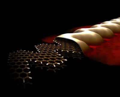 Graphene Nanoribbon