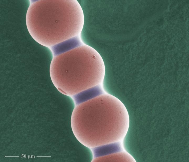 Colloidal Chain (2 of 2)