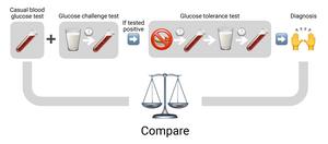 240918-Tanimura-Diabetes-Summary