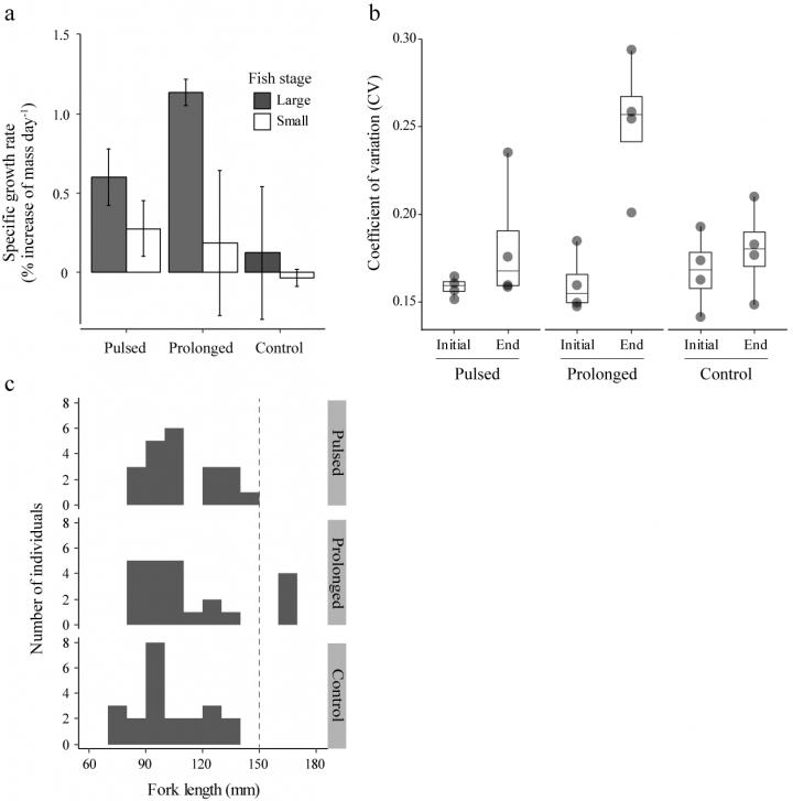 Figure 3: The salmon populations in terms of size distribution