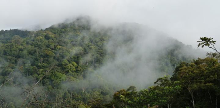 Monts de Cristal National Park