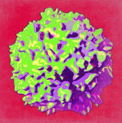 An array of lymphoid cells