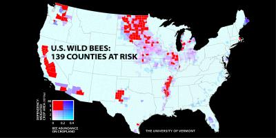 Map: US Wild Bees: 139 Counties at Risk