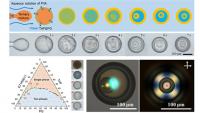 Spontaneous Formation of Photonic Multishells