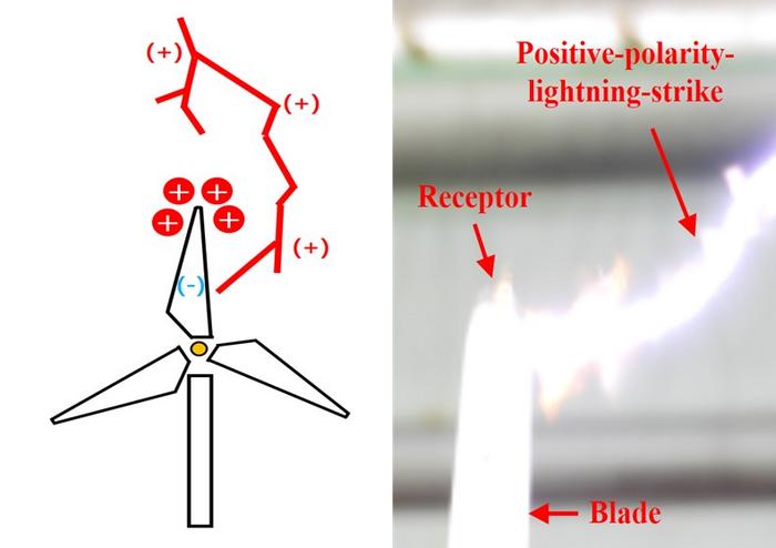 [Figure1]