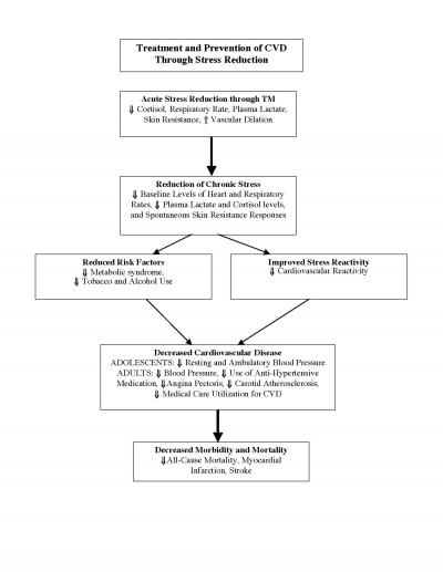 Treating & Preventing Cardiovascular Disease through Stress Reduction with Transcendental Meditation