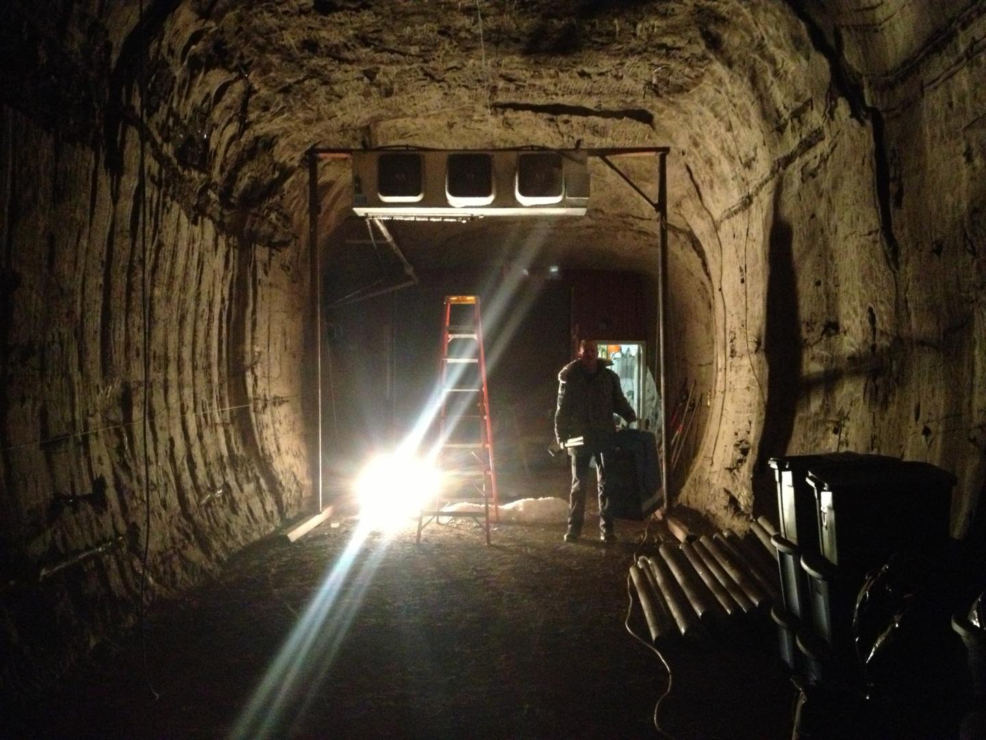 Alaskan Soil Thaw Sends Carbon Back into Atmosphere