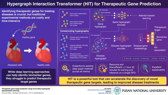 Proposed Hypergraph Interaction Transformer model