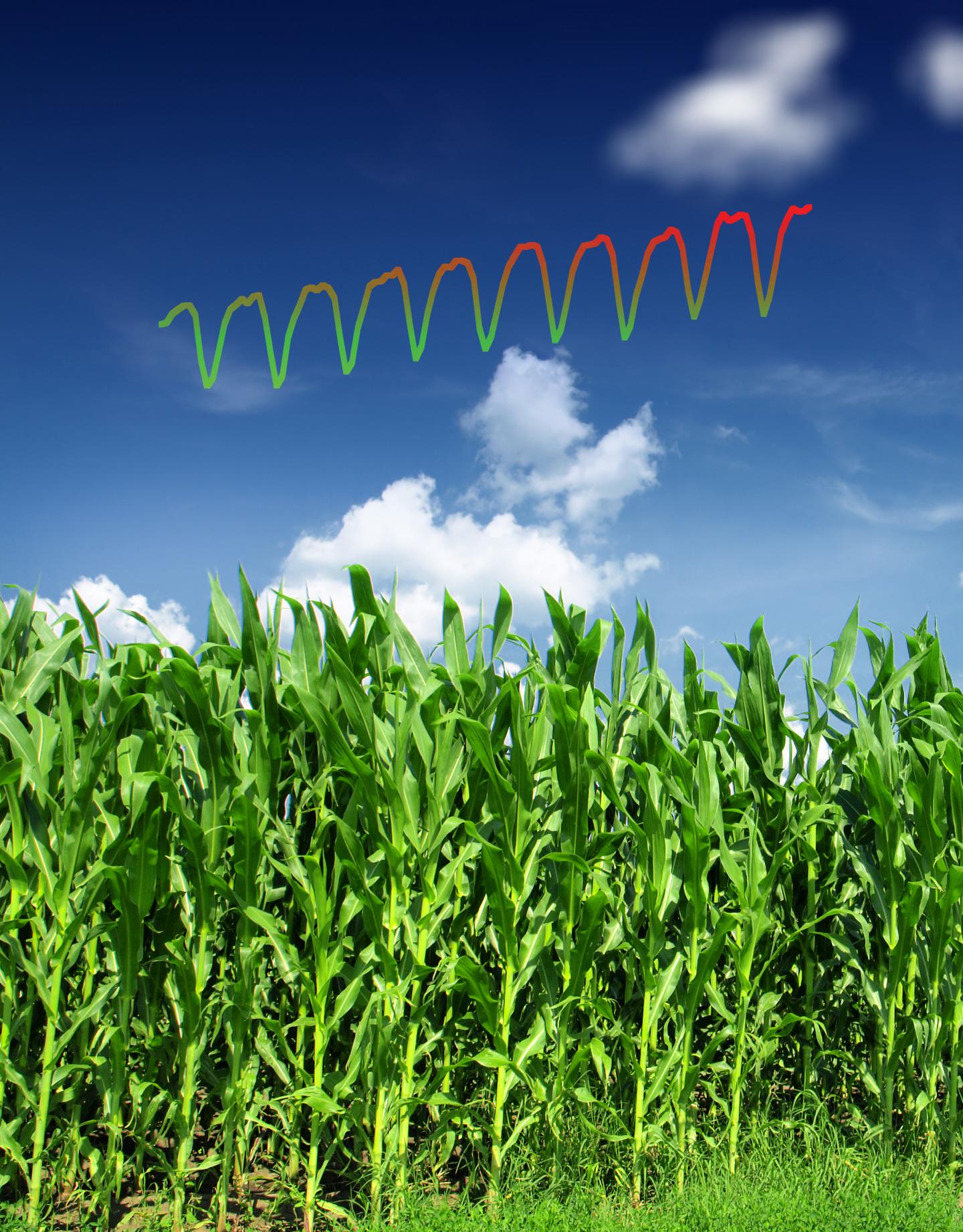 Atmospheric Carbon Dioxide Readings in Barrow, Alaska