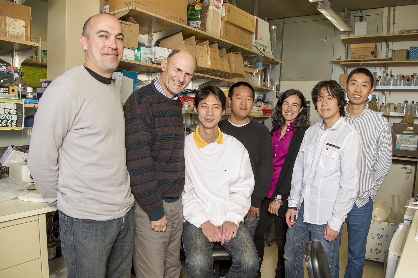 Salk Scientists Get One Step Closer To HIV Drug Using CRISPR