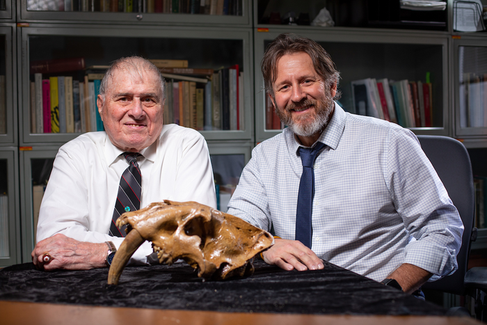 Dave Easterla, left, Distinguished University Professor Emeritus of Biology at Northwest Missouri State University and Matthew Hill, associate professor of anthropology at Iowa State, with a fossilized complete skull from a sabertooth cat from southwest I