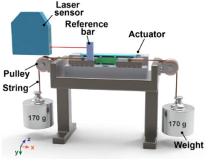 Figure 2. The revolutionary function of SLPUM: one piezoceramic stator can be used as two motors to generate two symmetrical linear motion outputs