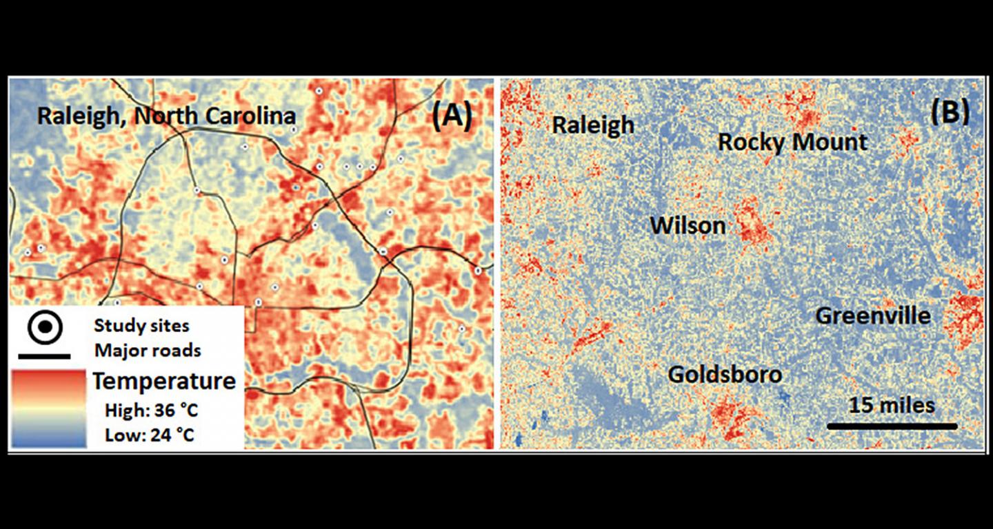 Cities Can Serve as Study Proxies for Climate Change