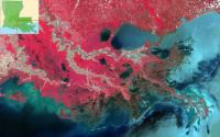 How Much Has the Mississippi Delta Changed Over Time?
