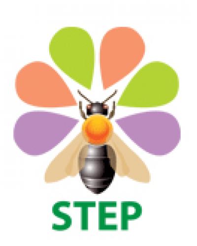STEP Project Logo