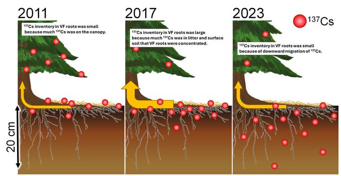 Schematic diagram of the self-cleaning effect of forest ecosystems