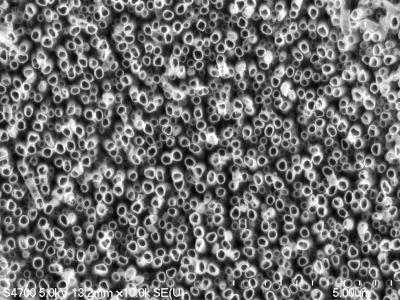 A Forest of Nanotubes