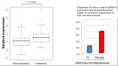 Genetic Variant Linked to Development of Liver Cancer in HCV Carriers (2 of 2)