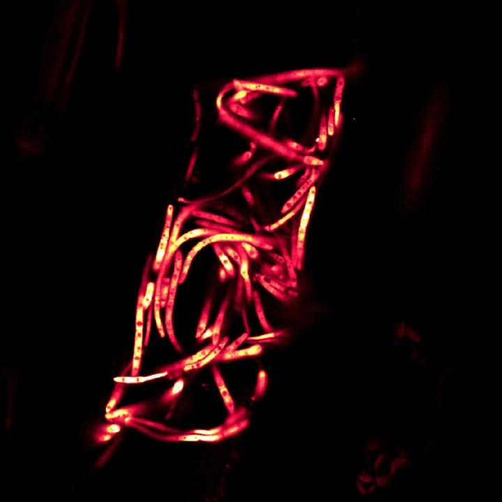 <i>Zymoseptoria tritici</i>