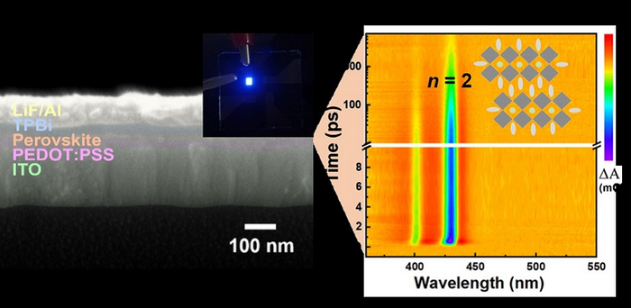 Scanning electron microscopy image with digital photograph during operation (left) and transient absorption spectrum (right) of deep-blue emitting perovskite light-emitting diodes (LEDs) prepared by hot-antisolvent bathing.