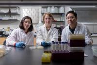 Researchers Develop Nanotextured Antibacterial Surface