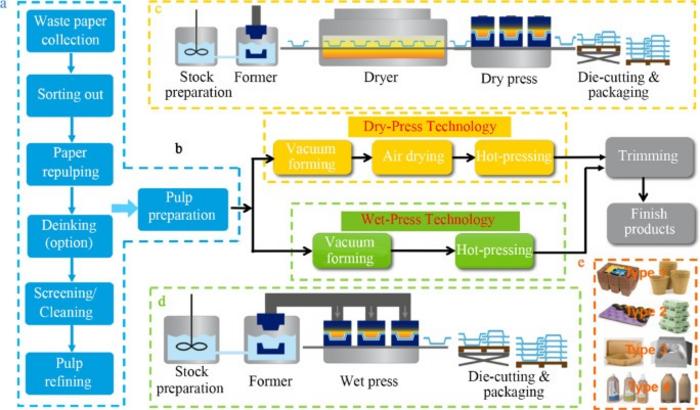 Molded fiber and pulp products as green and sustainable alternatives to plastics: A mini review