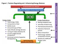 Energy Balance Graphic