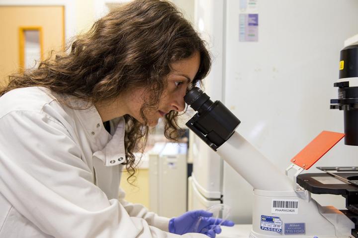 Anna M Piccinini, University of Nottingham