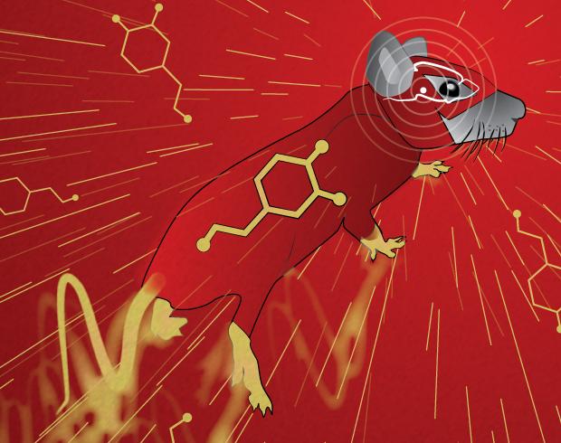 Alves de Silva et al.