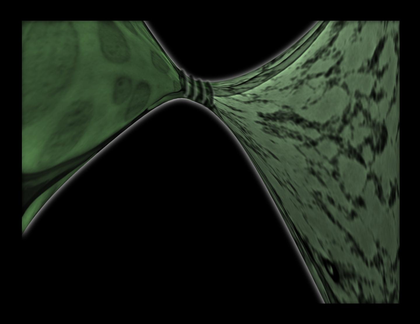 ORNL's Tough New Plastic