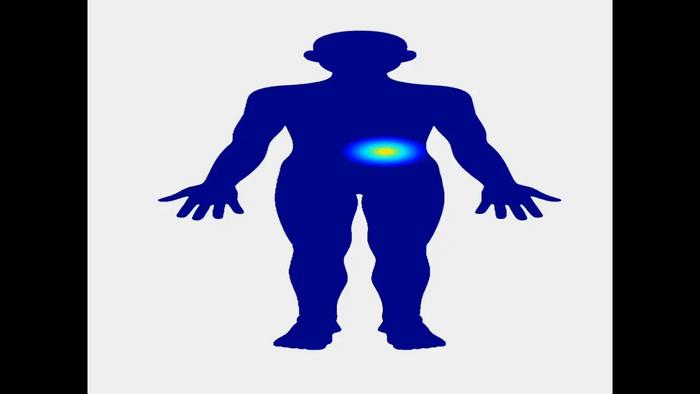 Bodily map of musical chord progressions