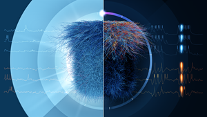 Thalamic microcircuitr