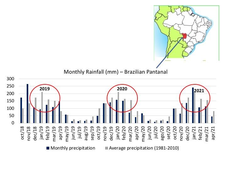Montly and average precipitation