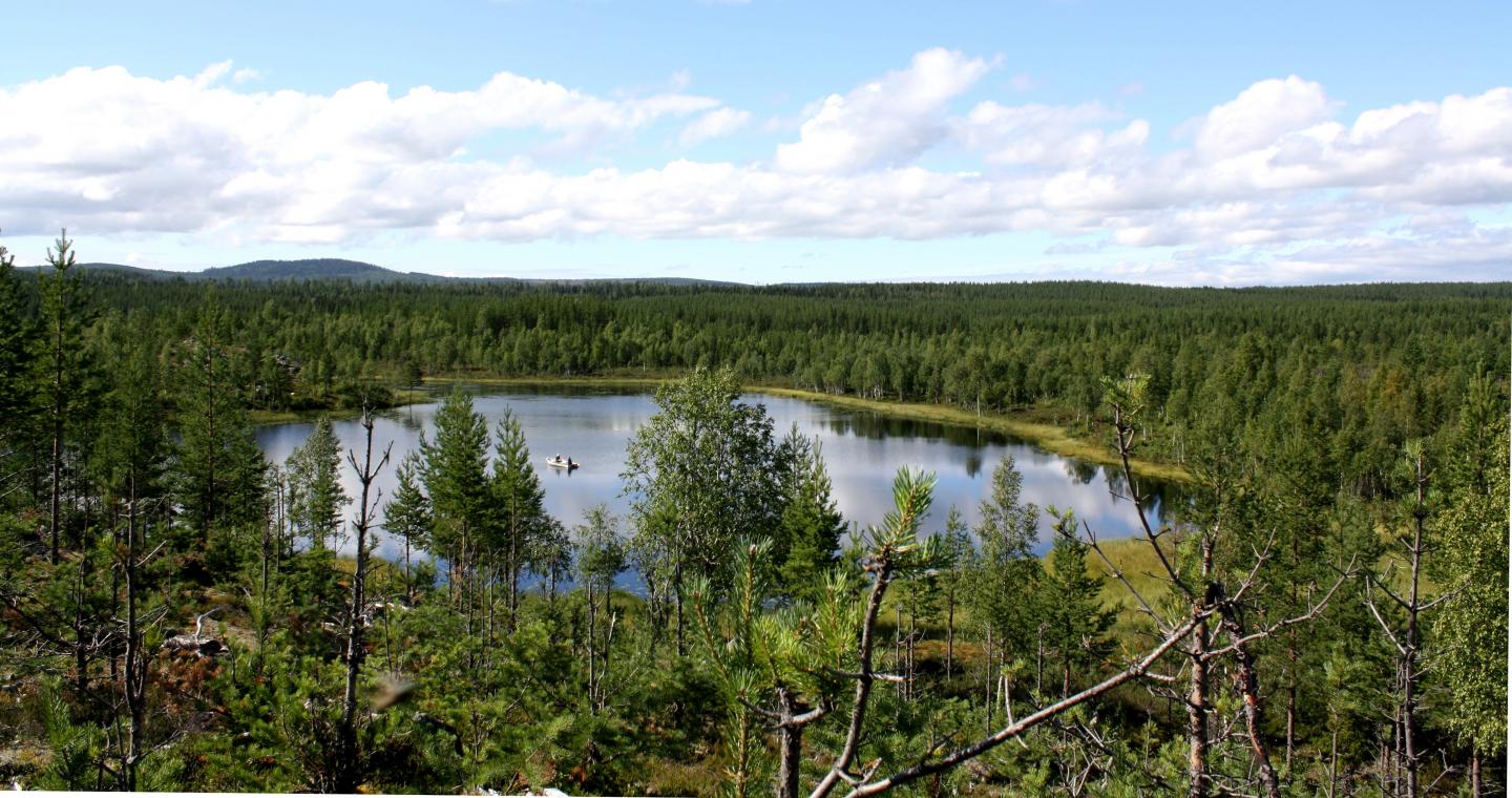 Lake N&auml;stj&auml;rn, a Swedish Boreal Lake