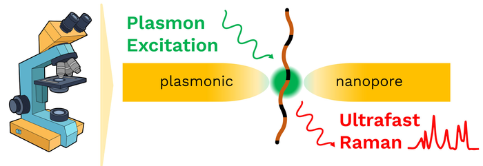 PROTEIN ID project