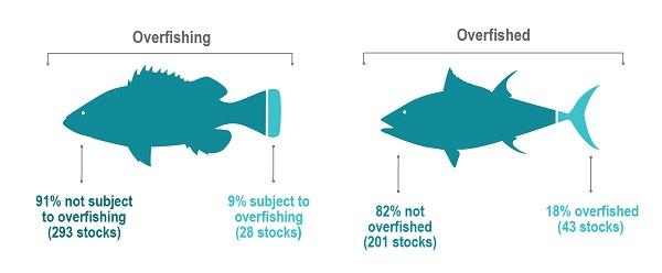 Number of Federally-Managed Fish Stocks in Overfishing, Overfished Categories