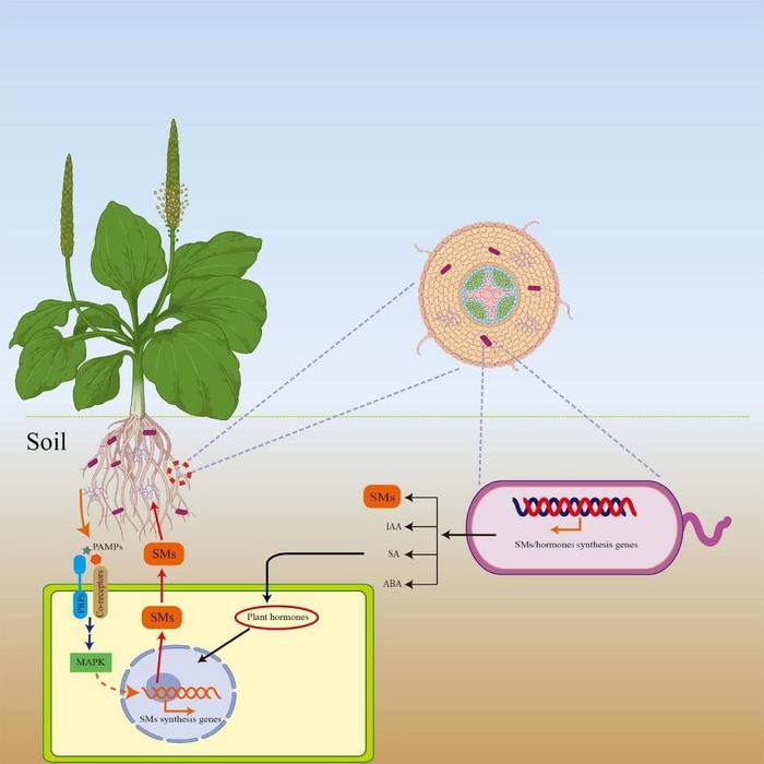 Fig.1