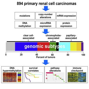Multilevel Genomics-Based Taxonomy of Renal Cell Carcinoma