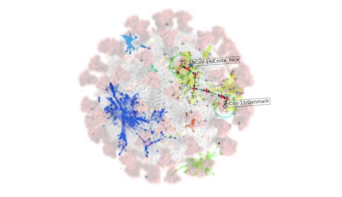 Mathematicians Use AI to Identify Emerging Covid-19 Variants