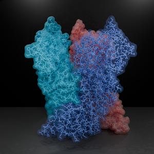 Structure of the poxviral core protein A10 (neutral background)