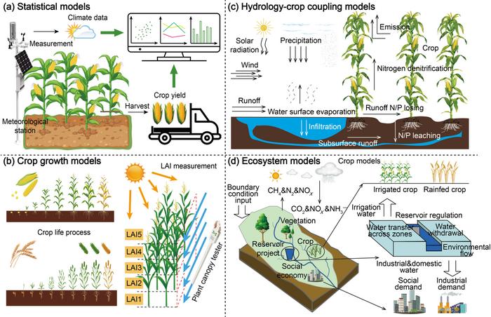 Distinguished features of different types of regional-scale crop growth and associated process models.