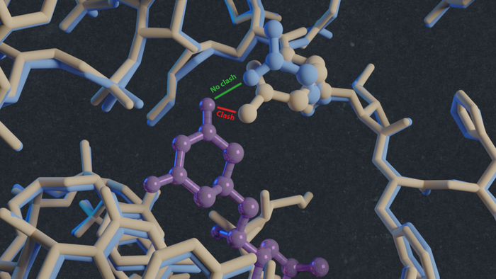 Inhibitor binding site on the C. albicans ribosome