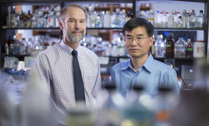 Vanderbilt University Medical Center Study Sheds Light on Side Effects of COX-2 Drugs